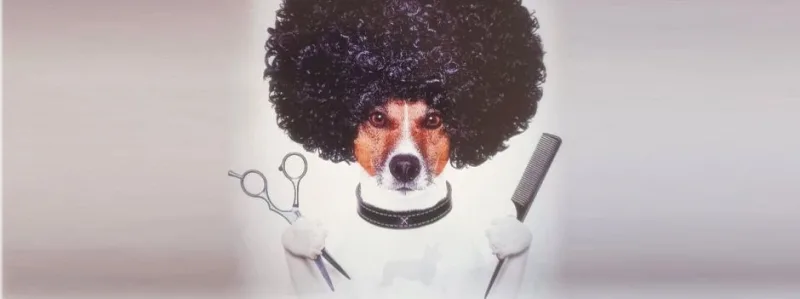 Hunde Salon CITA